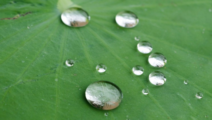 Phủ nano rồi có dán keo được không ? 9