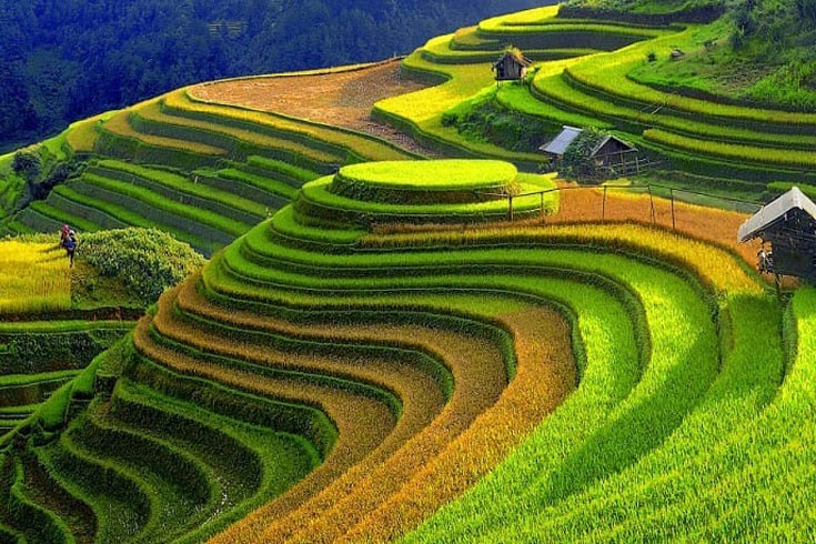 12 cung đường trekking đẹp nhất Việt Nam 4